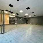 Cho thuê mặt bằng mặt tiền đường Nguyễn Trung Trực, Rạch Giá, An Giang, 204m2, 22 triệu/tháng - Ảnh thu nhỏ 2