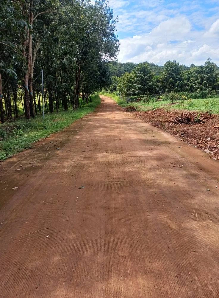 Bán đất cao su 2.1ha Đức Liễu 4.4 tỷ - Ảnh 1