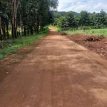 Bán đất cao su 2.1ha Đức Liễu 4.4 tỷ - Ảnh thu nhỏ 1
