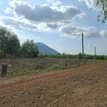 Bán đất 55m² Xã Phan Dương Minh, Tây Ninh, giá 175 triệu - Ảnh thu nhỏ 1