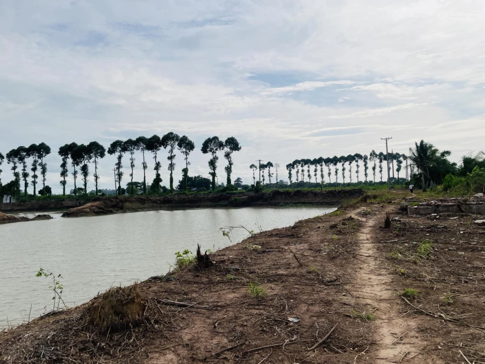 Bán 2 Vùng Nuôi tại Xã Nhơn Mỹ và Xã Long Giang, T. An Giang rộng đến hơn 40ha chỉ 108.1 tỷ đồng - Ảnh thu nhỏ 3