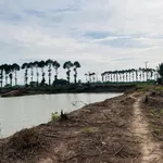 Bán 2 Vùng Nuôi tại Xã Nhơn Mỹ và Xã Long Giang, T. An Giang rộng đến hơn 40ha chỉ 108.1 tỷ đồng - Ảnh thu nhỏ 3