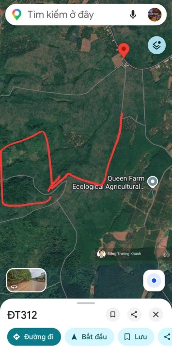 20 000 000m2 (2000 ha) rừng sản xuất theo dự án cây lâm nghiệp, dược liệu kết hợp du lịch sinh thái - Ảnh thu nhỏ 2