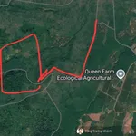 20 000 000m2 (2000 ha) rừng sản xuất theo dự án cây lâm nghiệp, dược liệu kết hợp du lịch sinh thái - Ảnh thu nhỏ 2