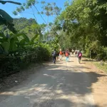 Bán đất 770m view Hồ Hòa Bình tại Bản Ngòi, Phú Thọ - Ảnh thu nhỏ 2
