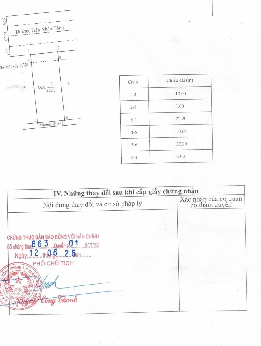 Bán biệt thự mặt tiền Trần Nhân Tông 250m² 7 tỷ - Ảnh 1