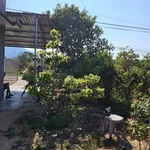 Bán lô đất Suối Hiệp 674m2, thổ cư 100m2, Cần Giờ - Ảnh thu nhỏ 5