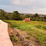 Bán đất tổ dân phố Phường Thành Nhất 500m2 435 triệu - Ảnh thu nhỏ 4