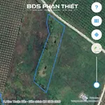 Bán đất CLN Bình Thuận 1.728 m² 1,38 tỷ - Ảnh thu nhỏ 3