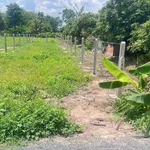 Bán đất 155m² Trương Mít Tây Ninh 209 triệu - Ảnh thu nhỏ 1