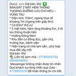 Bán đất 2 mặt hẻm 114m² Lưu Chí Hiếu Vũng Tàu 6 tỷ - Ảnh thu nhỏ 1