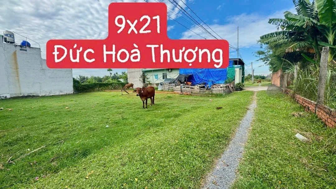 Bán lô đất mặt tiền Lê Hy Cát 200m2 ngang 10m KĐT Nam Việt Á, Đà Nẵng nharebmt - Ảnh 1