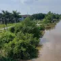 Nền ven sông và lộ nhựa khu công nghiệp Bình Minh (ngay cầu Cần Thơ) giá 1 tỷ 350 - Ảnh thu nhỏ 5