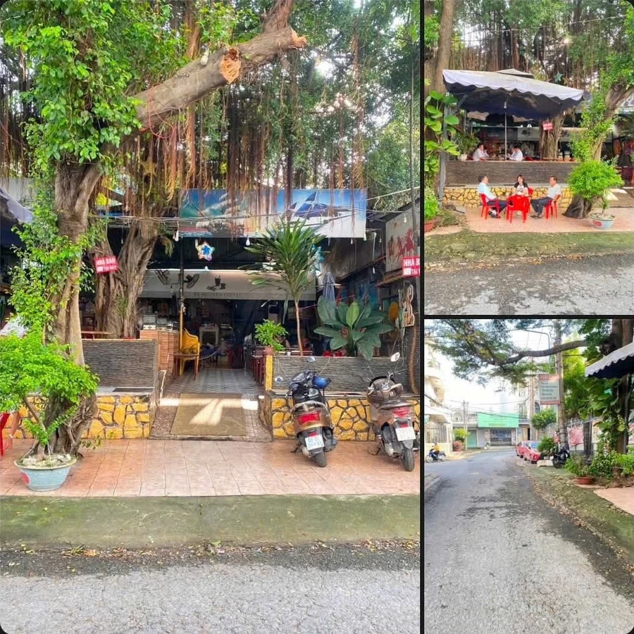 Sang nhượng biệt thự kinh doanh quán cà phê 10 tỷ, 200m² Tam Hiệp - Ảnh 1