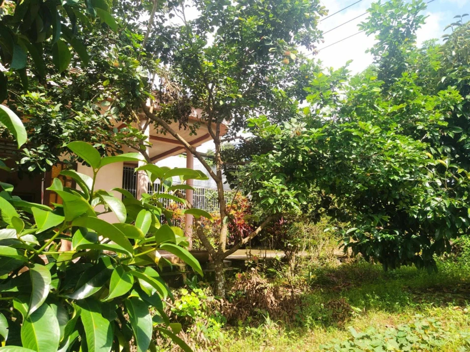 Nhà vườn siêu đẹp, nở hậu, mặt tiền đường Quốc Lộ 20 nối SG - Đà Lạt (Đạ Huoai - Lâm Đồng) - Ảnh thu nhỏ 2
