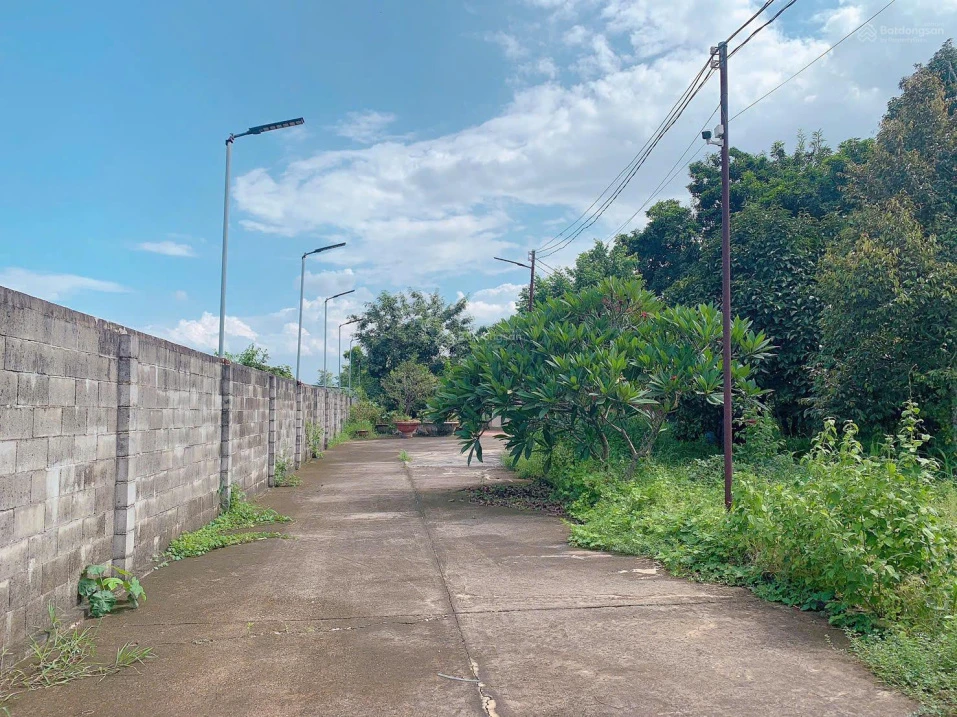 Bán khoảng 9 sào 7 (9745m2) đất phường Tân Thành, Tp. HCM). Giá 13 tỷ - Ảnh thu nhỏ 2