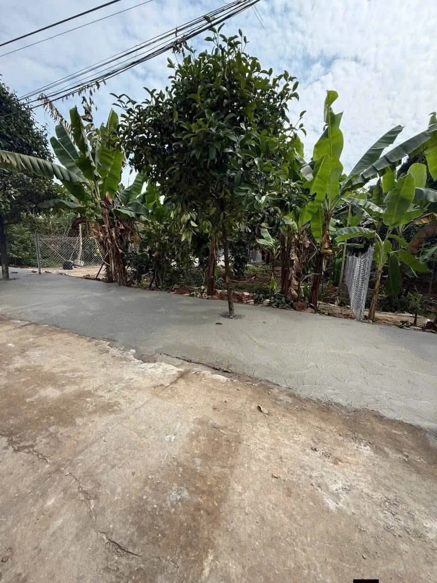 Bán đất mặt tiền Bình Nhâm 30 - 432m² thổ cư 100m² - Ảnh thu nhỏ 2