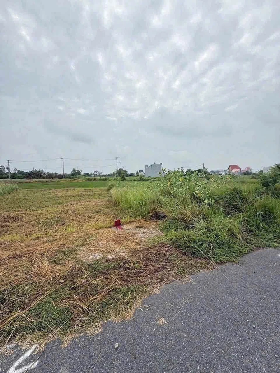 Bán đất 4,5x18m (81m2) khu dân cư 5 Hiệp, Tân Lân, Cần Đước, Long An giá 650 triệu - Ảnh thu nhỏ 5