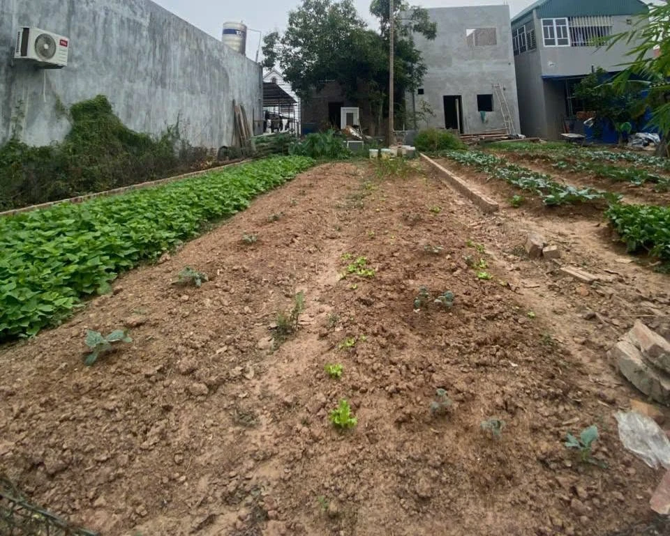 Bán lô đất Nội Bài 80m² hơn 2 tỷ - Ảnh thu nhỏ 2