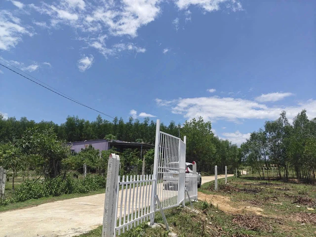 Bán lô đất 179m2 Khánh Bình Bình Chánh - Ảnh thu nhỏ 3