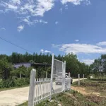 Bán lô đất 179m2 Khánh Bình Bình Chánh - Ảnh thu nhỏ 3