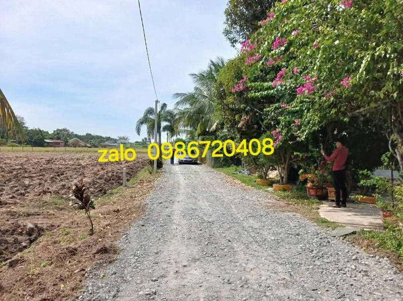 Bán đất Châu Thành Tây Ninh 10×107m, 350 triệu