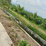 Bán đất Cần Giờ 1,8 sào 600 triệu - Ảnh thu nhỏ 1
