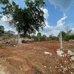 Bán lô đất Tân Hòa 125m², mặt tiền 5m, 900 triệu - Ảnh thu nhỏ 3
