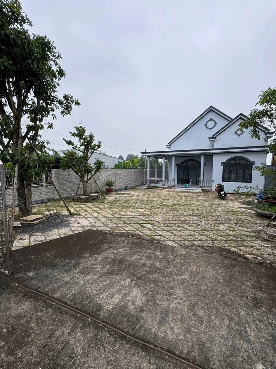 Bán nhà mái Thái 2.300m² đất thổ cử Giang Điền Đồng Nai - Ảnh 1