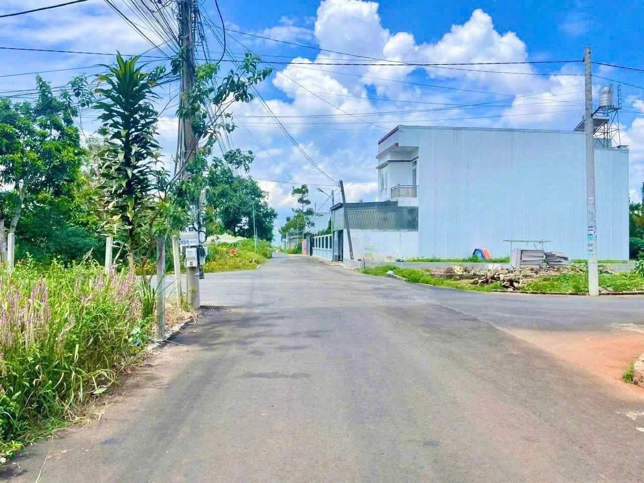 Bán đất mặt tiền 5x20m Phan Đình Phùng Bảo Lộc 1 tỷ 380 tr - Ảnh 1
