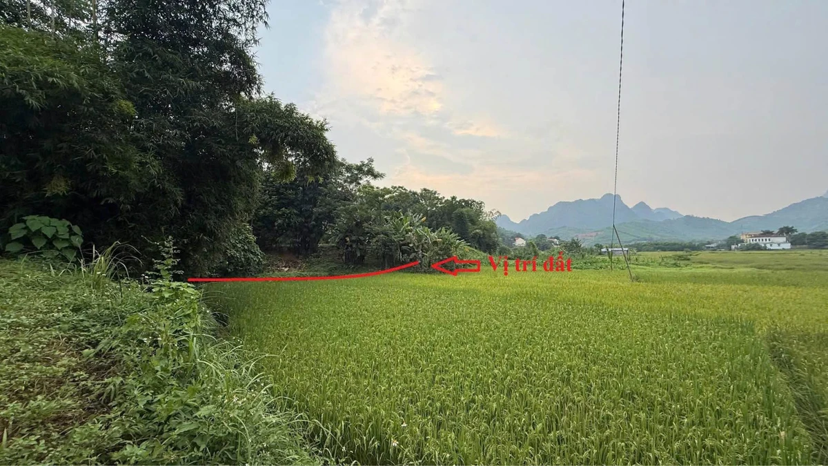 Bán đất 983m² (850m² đất ở) Kim Bôi, giá hơn 1 tỷ - Ảnh thu nhỏ 5