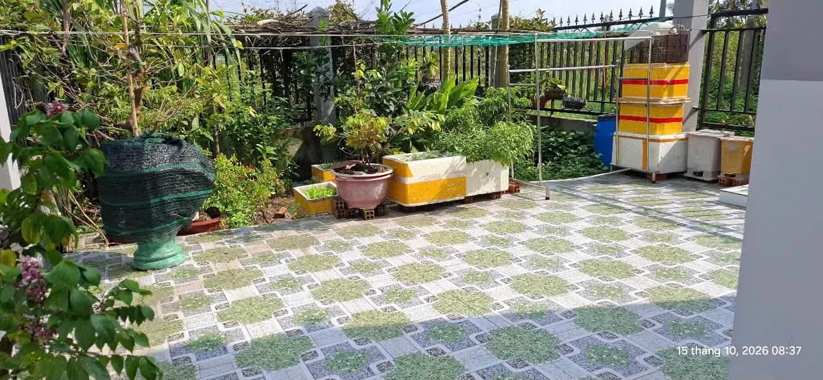 Bán nhà sổ riêng Bến Cát 221m² 2 phòng ngủ 2 tỷ 230 triệu - Ảnh thu nhỏ 2
