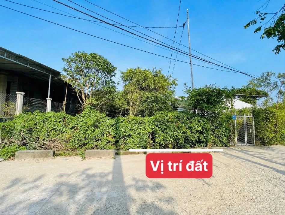 Bán đất mặt tiền Nguyễn Văn Chư, Huế, 142m², 1,499 tỷ - Ảnh thu nhỏ 2