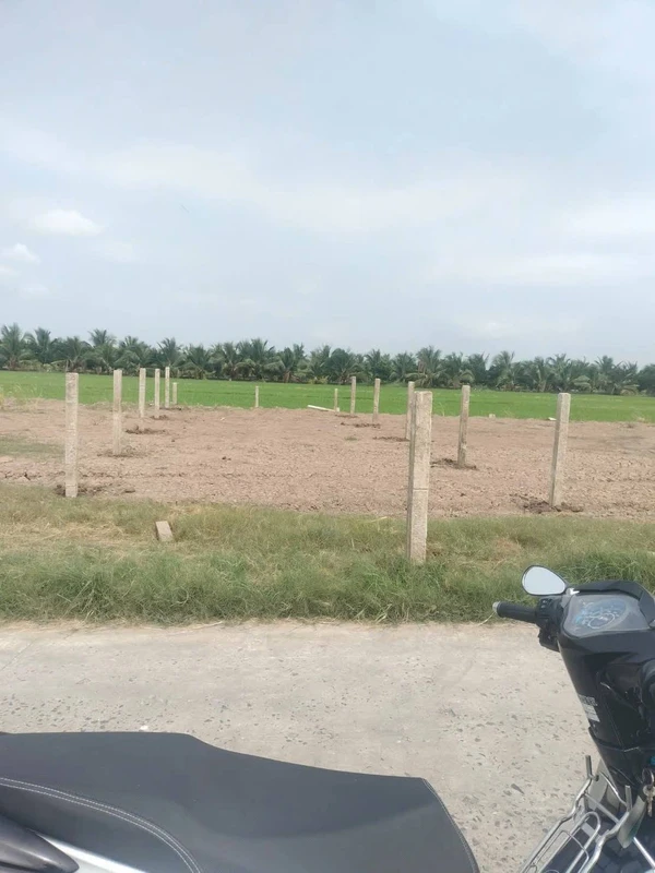 Bán đất Gò Công Đông 126m² mặt tiền biển 350 triệu