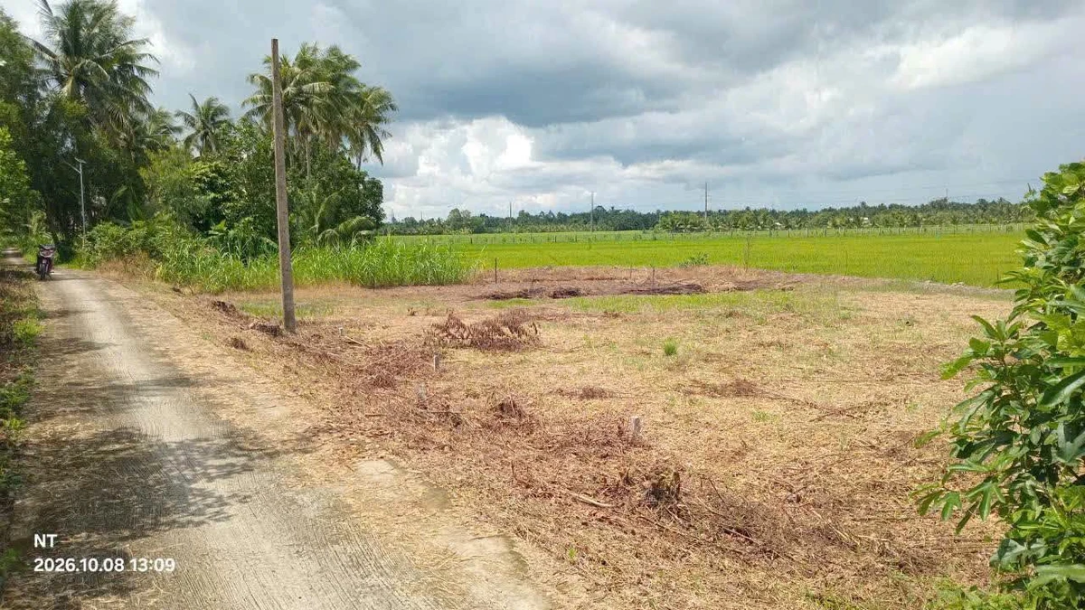 Bán đất nền thổ cư 110m² mặt tiền đường đal tại Tân Long Hội, Mang Thít, Vĩnh Long - Ảnh 1