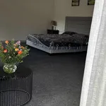 Bán villa 200m² Đà Lạt 8 tỷ - Ảnh thu nhỏ 4