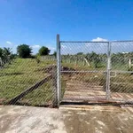 Bán gấp 1 sào đất CLN Hàm Liêm, Hóc Môn 479 triệu - Ảnh thu nhỏ 2