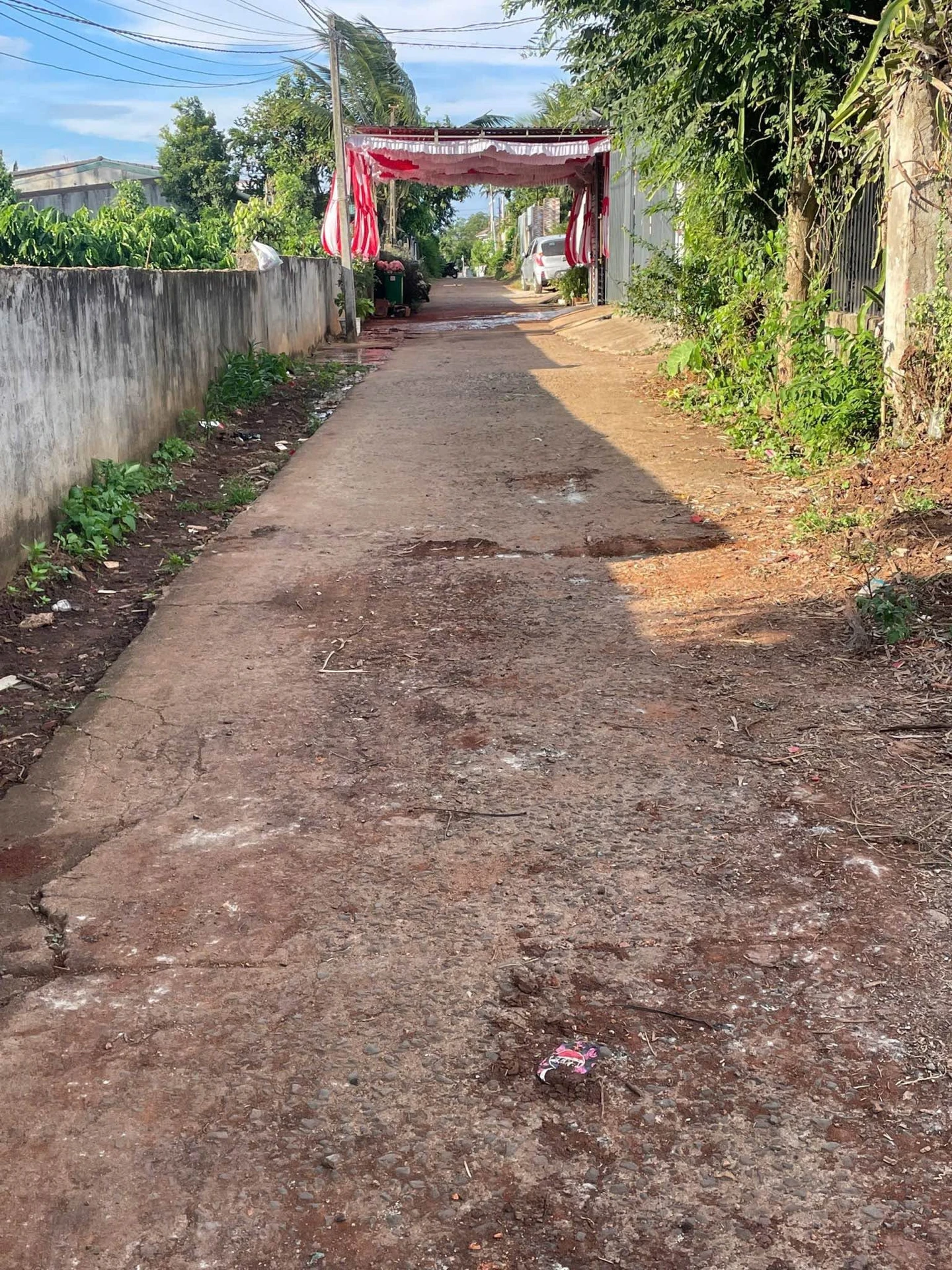 Bán lô đất thổ cư 325m² Tầm Vượng, Tây Ninh 990 triệu 10cn - Ảnh 1