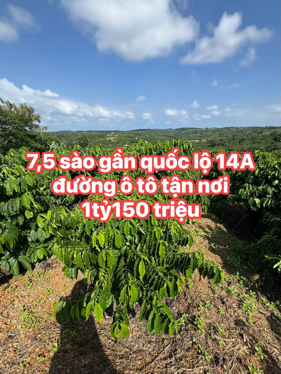 Bán đất nền 7,5 sào tại Xã Trúc Sơn gần Quốc lộ 14A - Ảnh 1