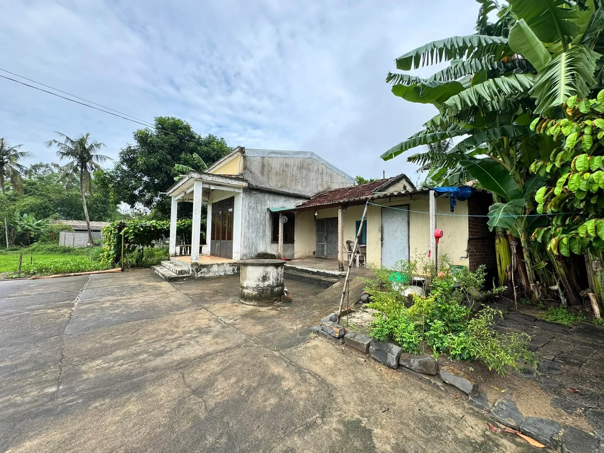 Bán đất vườn Tịnh Hoà 248m2, đường ô tô - Ảnh thu nhỏ 2