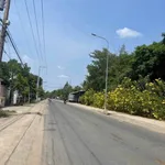 Bán nhà sân vườn mặt tiền Thạnh Quý 477m2, 12.5 tỷ - Ảnh thu nhỏ 2