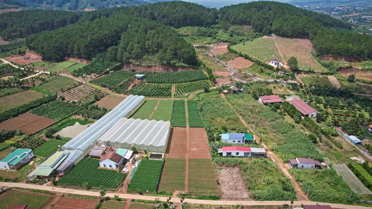 Bán đất Nam Ban 933 m² sổ riêng, 1,68 tỷ - Ảnh thu nhỏ 4