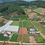 Bán đất Nam Ban 933 m² sổ riêng, 1,68 tỷ - Ảnh thu nhỏ 4