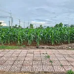 Bán đất tái định cư TDP 12 Buôn Ma Thuột 132m² - Ảnh thu nhỏ 3