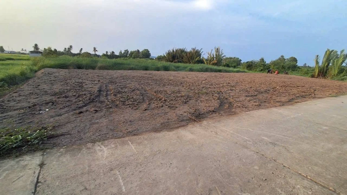 Bán đất thổ cư 98m² đường Nguyễn Văn Vịnh, xã Tân Trụ, Tây Ninh giá 330 triệu - Ảnh thu nhỏ 3