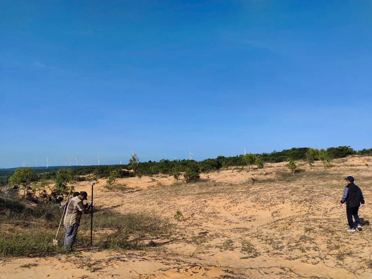 Bán đất 2,5ha view biển & điện gió Phan Rí Thành, Bình Thuận - Ảnh thu nhỏ 3