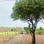 Đất đẹp huyện Buôn Đôn, Đắk Lắk 103.365m2 sổ đỏ chính chủ, vị trí trung tâm. Chỉ 15 tỷ. 0935 361 *** - Ảnh thu nhỏ 2