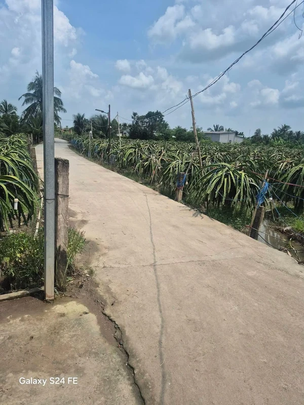 Bán đất 22000m2 (22 mẫu 2) Tri Châu Long An 13 tỷ