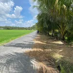 Bán đất ruộng 11 công Xã Tân Hòa Vĩnh Long - Ảnh thu nhỏ 1