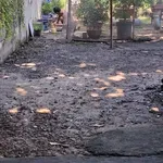 Bán đất 100m² Nguyễn Thị Pha Hóc Môn 1,65 tỷ - Ảnh thu nhỏ 1